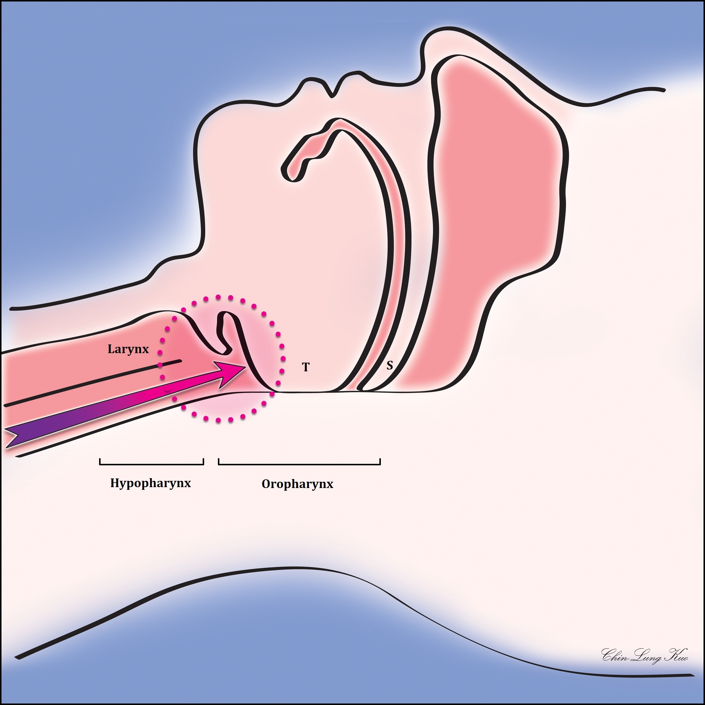 Figure 1.jpg